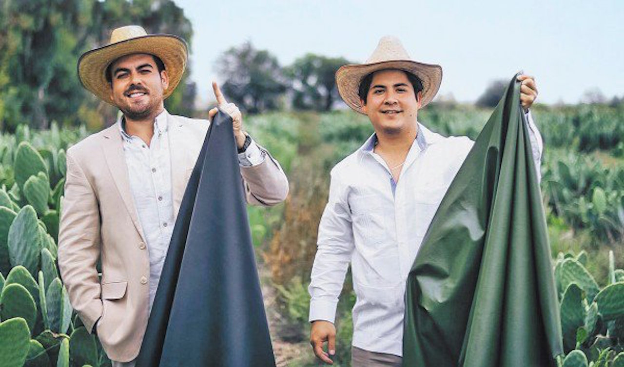 En México crean piel orgánica a partir del nopal